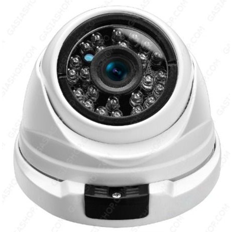 Telecamera Dome IP 2MPx POE 24 led Sony Starvis IP66 1080P Metallo
