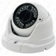 Telecamera Dome IP 2MPx POE 24 led Sony Starvis IP66 1080P Metallo