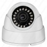 Telecamera Dome IP 5MPx POE ONVIF 24 led Sony Starvis IP66 1080P Metallo