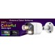 KIT VIDEOSORVEGLIANZA FULL COLOR 4 CANALI 4 TELECAMERE BULLET 3.6MM 2MPX COLORE NOTTURNO  CON VIDEO ANALISI E FACCIALE